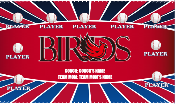 Birds 5 - Softball Banner