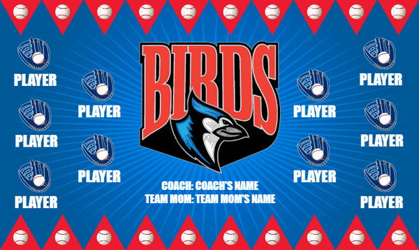 Birds 6 - Softball Banner