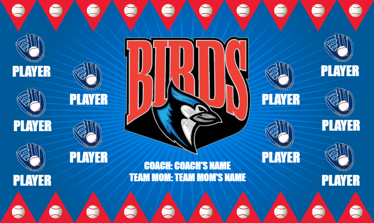 Birds 6 - Softball Banner