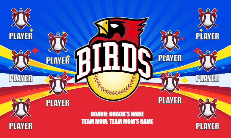 Birds 7 - Softball Banner