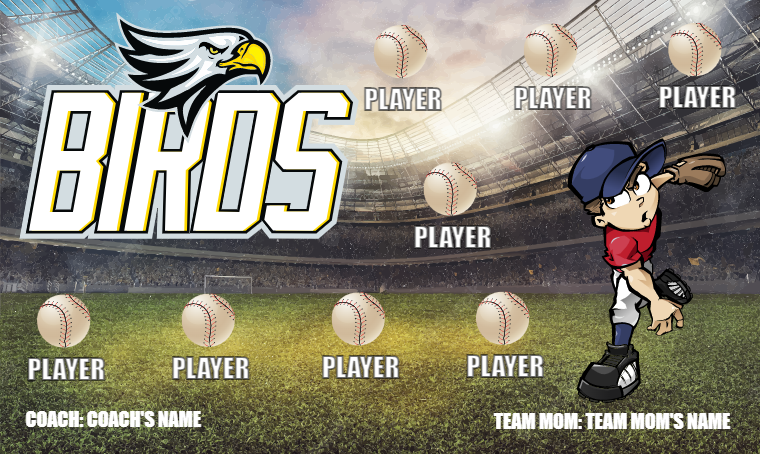 Birds 8 - Softball Banner