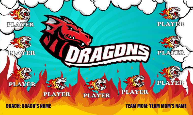 Dragons 5 - Softball Banner