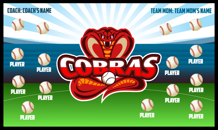 Cobras - Softball Banner