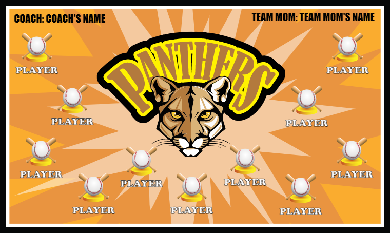 Panthers 2 - Softball Banner