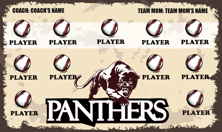 Panthers 3 - Softball Banner