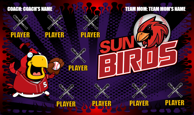 Birds 3 - Softball Banner