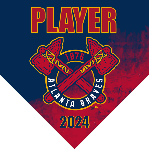 Atlanta Braves 10 - Home Baseball Banners