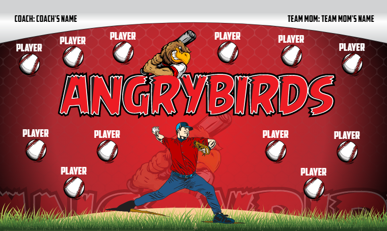 Angry Birds 2 - Baseball Banner