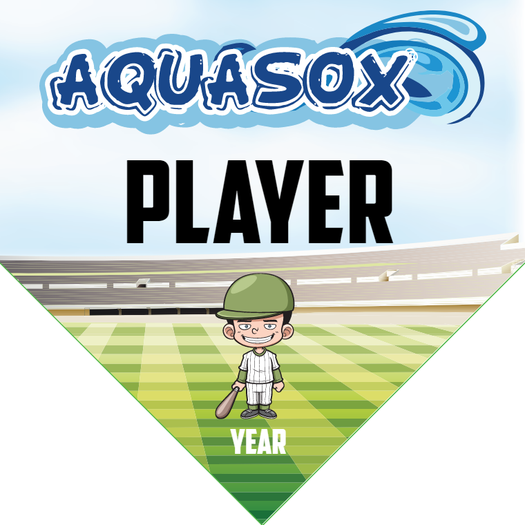 Aquasox - Home Plate Softball Pennant