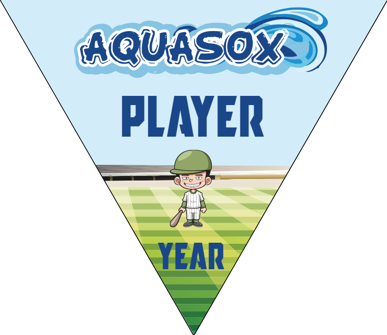 Aquasox - Triangle Softball Pennant