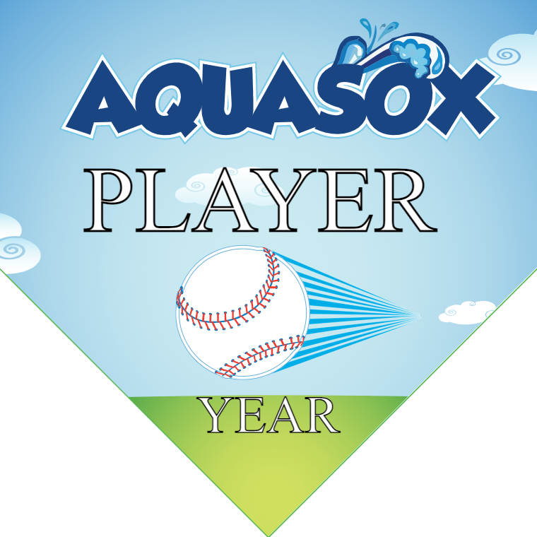 Aquasox 2 - Home Plate Softball Pennant