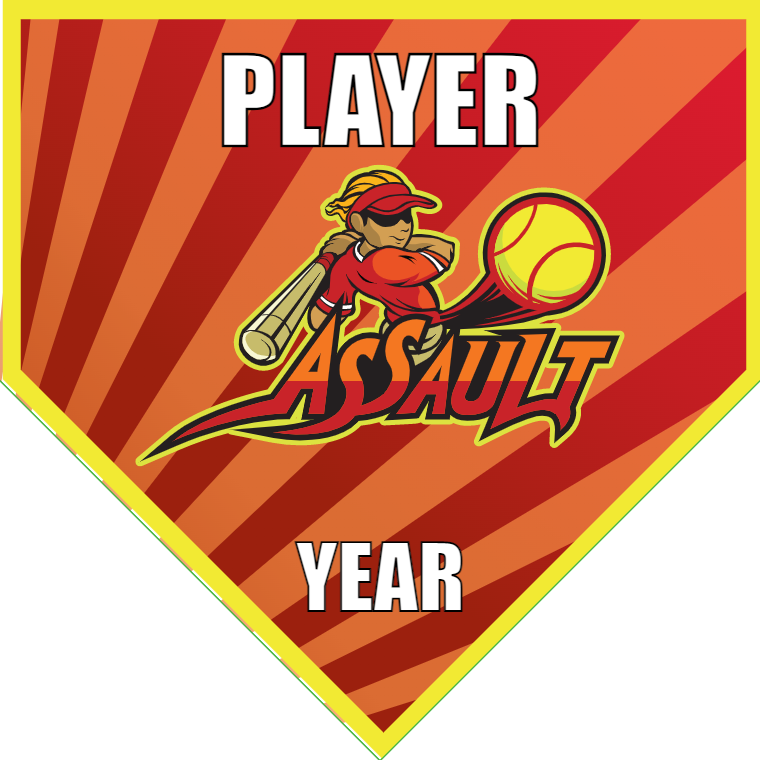 Assault - Home Plate Softball Pennant