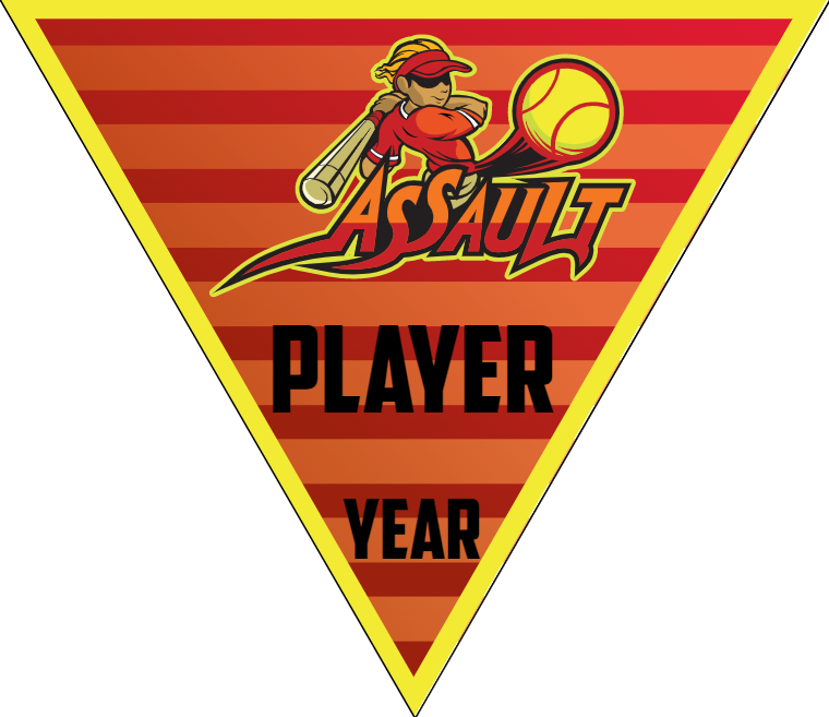 Assault - Triangle Softball Pennant