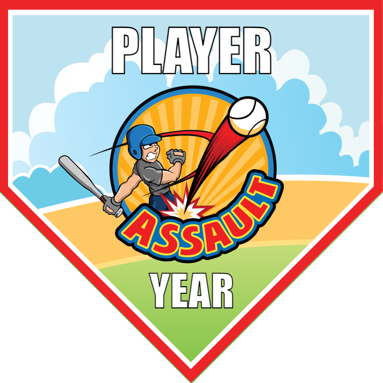 Assault 2 - Home Plate Softball Pennant