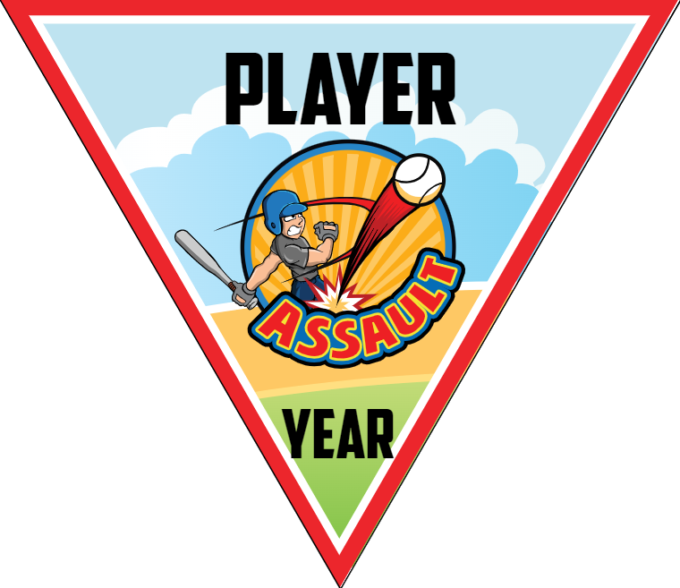 Assault 2 - Triangle Softball Pennant