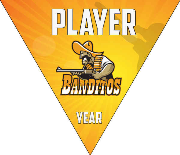 Banditos - Triangle Softball Pennant