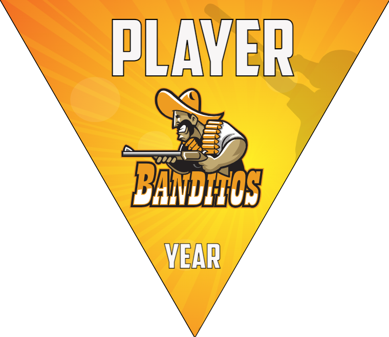 Banditos - Triangle Softball Pennant