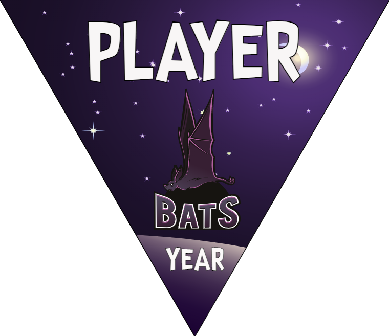 Bats - Triangle Softball Pennant – Team Sport Banners