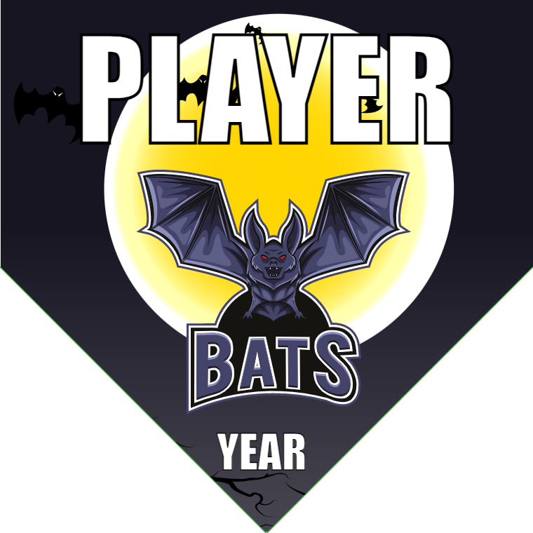 Bats 2 - Home Plate Softball Pennant