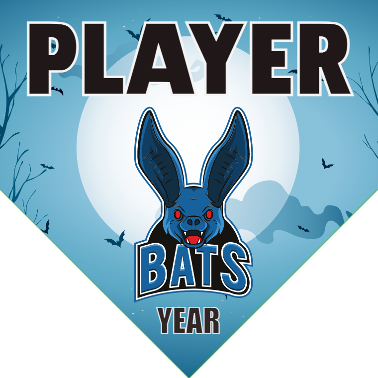 Bats 3 - Home Plate Softball Pennant