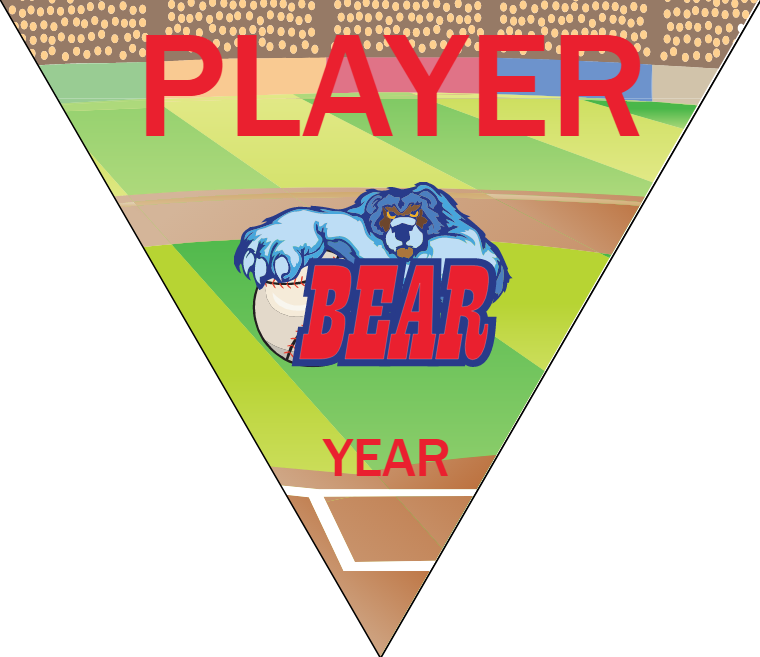 Bear 2 - Triangle Softball Pennant