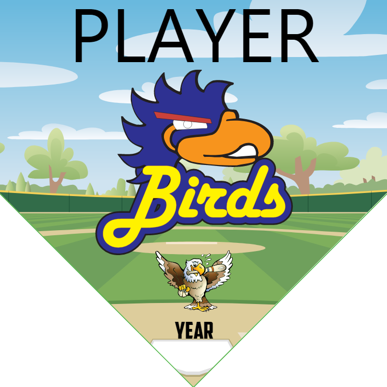 Birds - Home Plate Softball Pennant