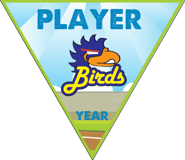 Birds - Triangle Softball Pennant