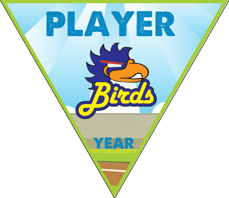 Birds - Triangle Softball Pennant