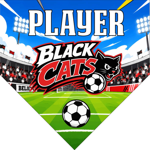 Black Cat - Homeplate Soccer Pennant