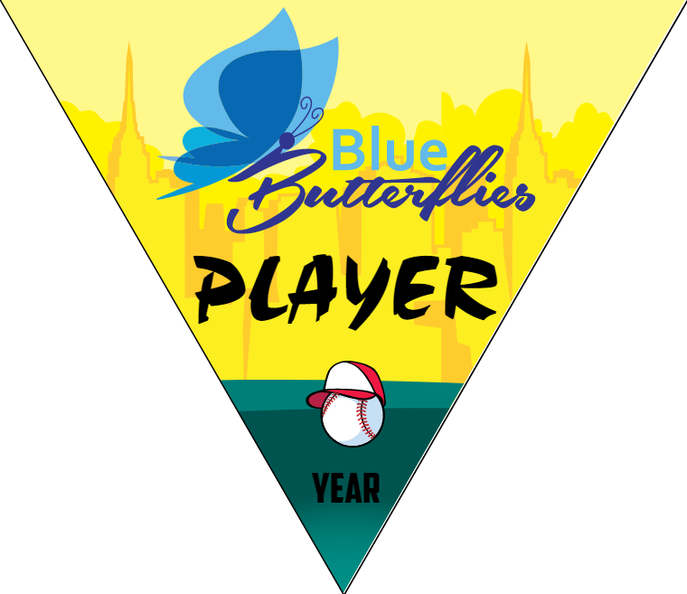 Blue Butterflies - Triangle Softball Pennant