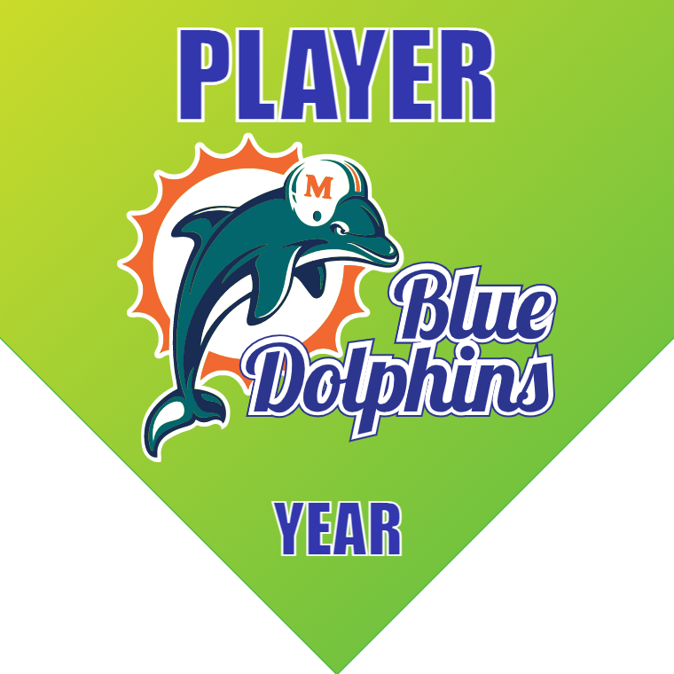 Blue Dolphins - Home Plate Softball Pennant