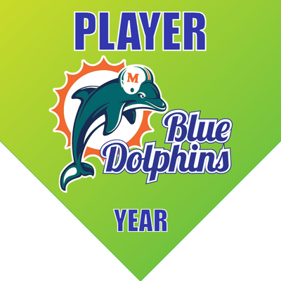 Blue Dolphins - Home Plate Softball Pennant