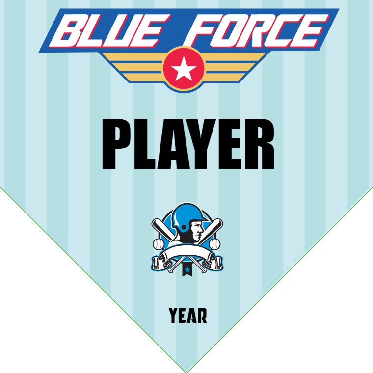 Blue Force - Home Plate Softball Pennant