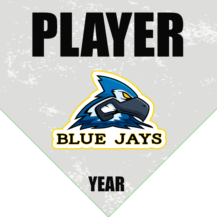 Blue Jays - Home Plate Softball Pennant