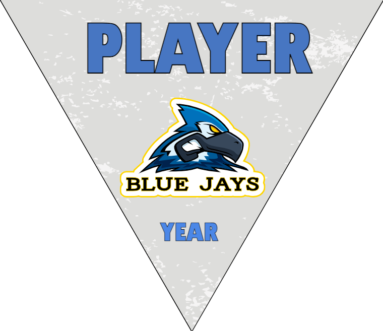 Blue Jays - Triangle Softball Pennant