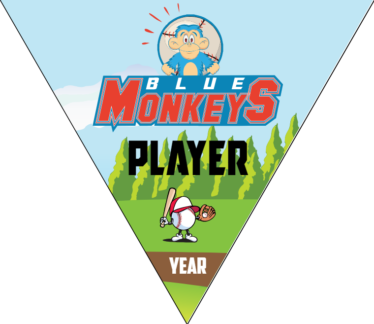 Blue Monkeys - Triangle Softball Pennant