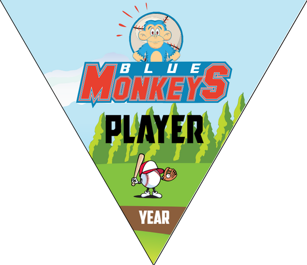 Blue Monkeys - Triangle Softball Pennant