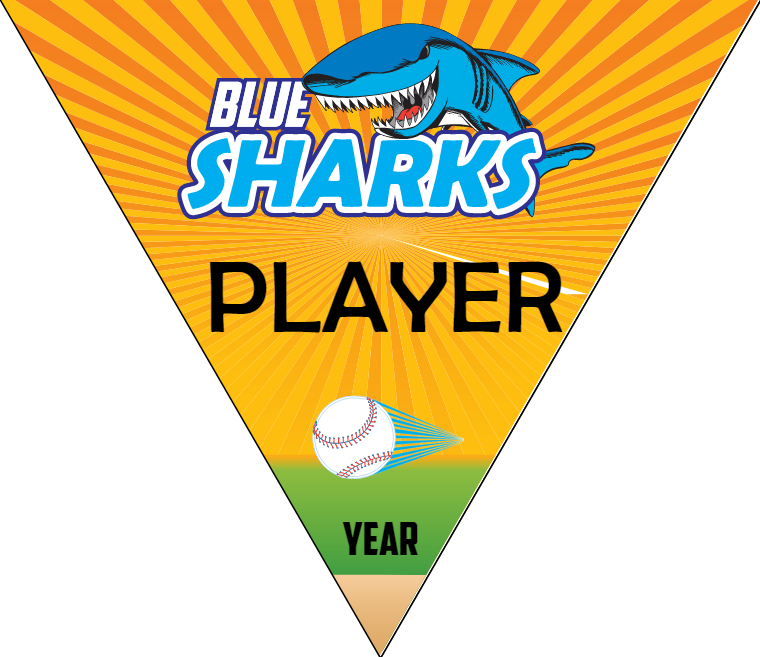 Blue Sharks - Triangle Softball Pennant