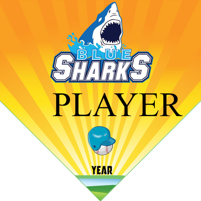 Blue Sharks 2 - Home Plate Softball Pennant