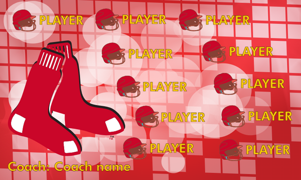 Boston Red Sox 2 - Baseball Banner