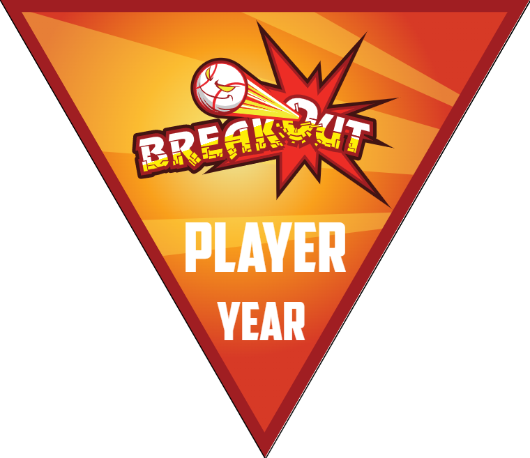 Break Out 2 - Triangle Softball Pennant