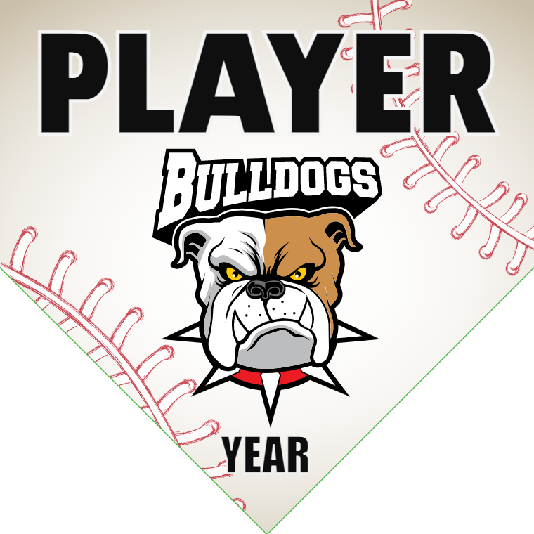 Bulldogs 3 - Home Plate Softball Pennant