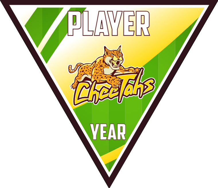 Cheetahs - Triangle Softball Pennant