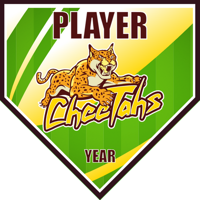Cheetahs 2 - Home Plate Softball Pennant