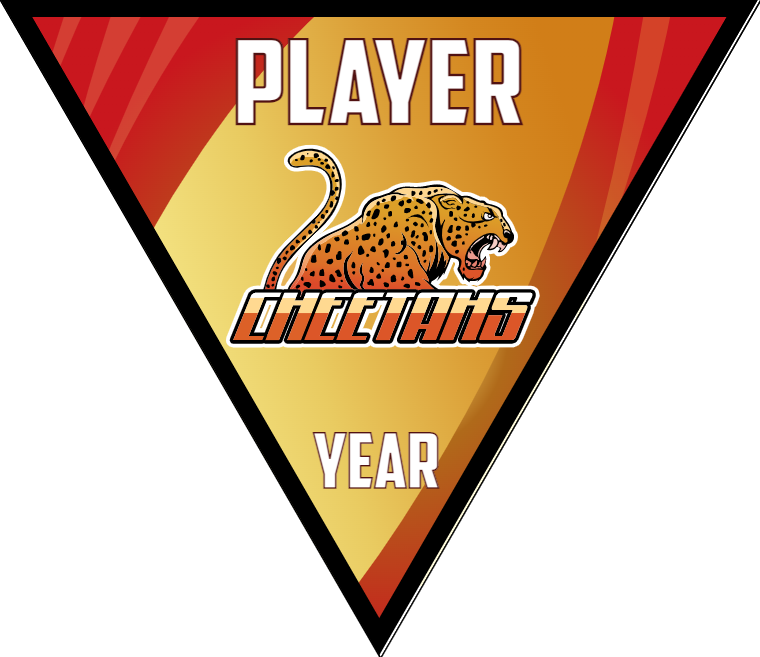 Cheetahs 2 - Triangle Softball Pennant