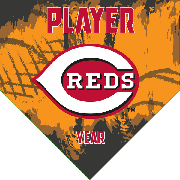 Cincinnati Reds 3 - Home Baseball Banners