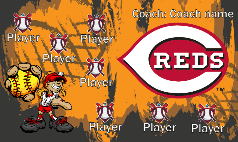 Cincinnati Reds 2 - Baseball Banner