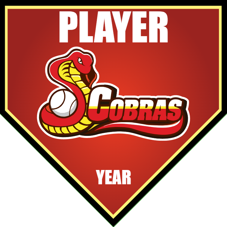 Cobras 2 - Home Plate Softball Pennant