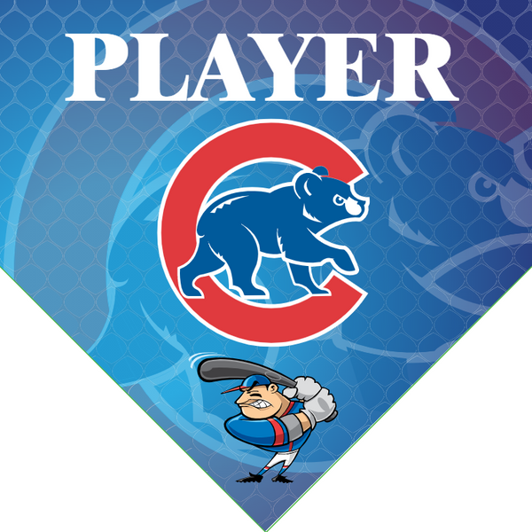 Cubs 3 - Home Baseball Banners