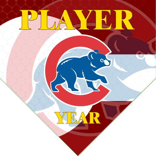 Chicago Cubs 4 - Home Baseball Banners